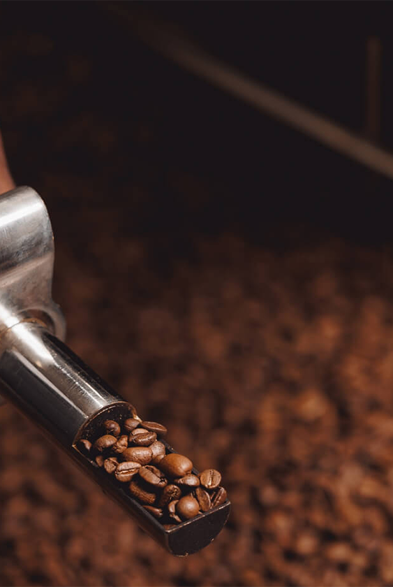 Cafe Noors Hikayemiz Banner2