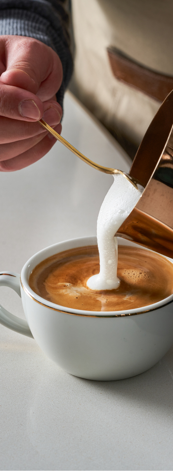 Cafe Noors Anasayfa Kahve Tutkusu D1