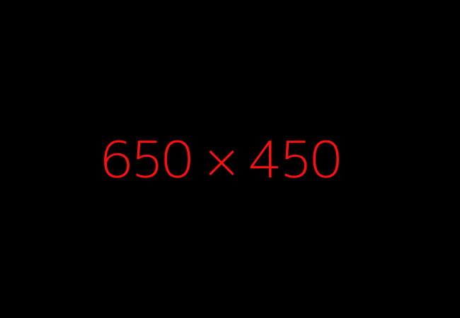 650X120