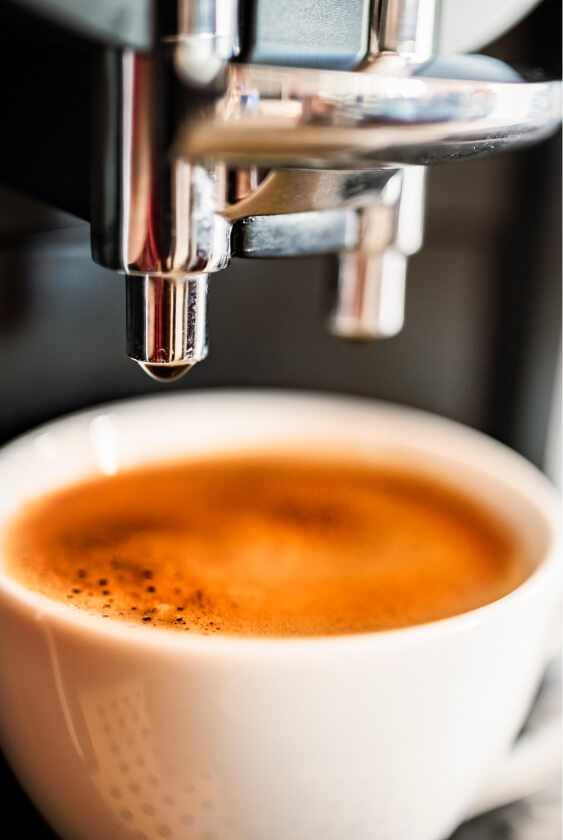 Cafe Noors Franchise Banner D